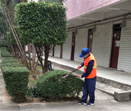 园林绿化设计