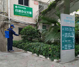 蚂蚁防治过程