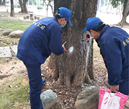 小区林业有害生物检查