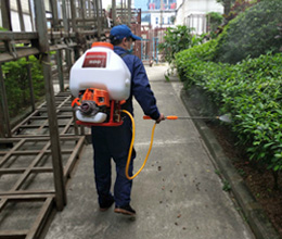 白蚁消杀，各类虫害消杀