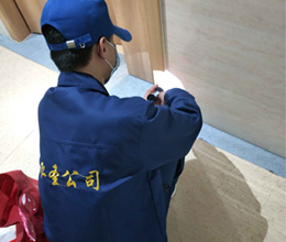臭虫消杀,臭虫治理,酒店消毒灭虫
