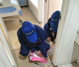 红蚁防治