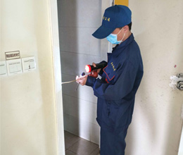 深圳老鼠防治公司