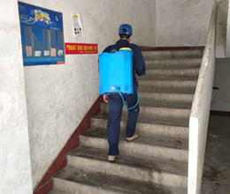 楼梯过道虫害消杀