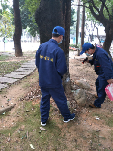 深圳杀臭虫公司